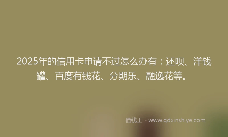 2025年的信用卡申请不过怎么办有：还呗、洋钱罐、百度有钱花、分期乐、融逸花等。