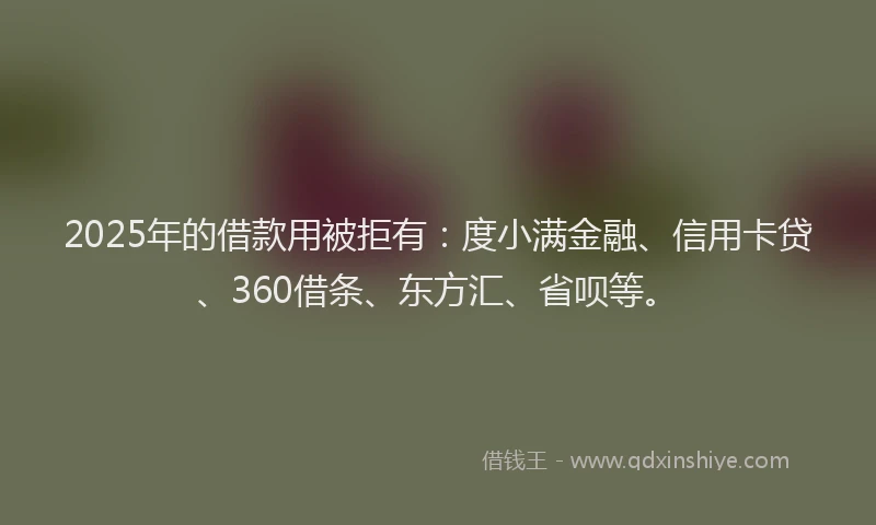 2025年的借款用被拒有：度小满金融、信用卡贷、360借条、东方汇、省呗等。