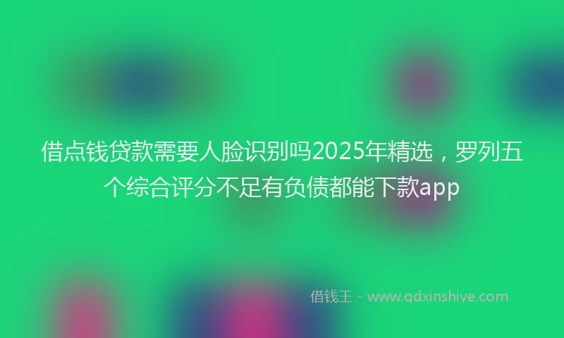 借点钱贷款需要人脸识别吗2025年精选，罗列五个综合评分不足有负债都能下款app