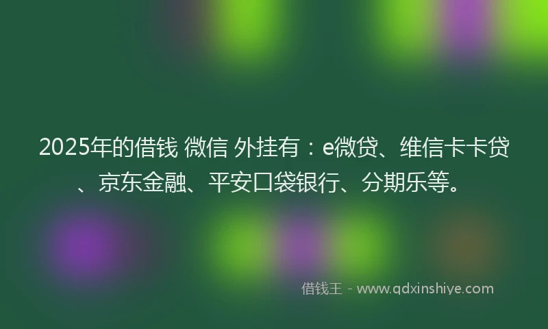 2025年的借钱 微信 外挂有：e微贷、维信卡卡贷、京东金融、平安口袋银行、分期乐等。