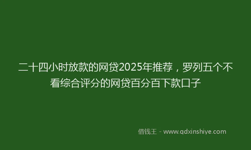 二十四小时放款的网贷2025年推荐，罗列五个不看综合评分的网贷百分百下款口子