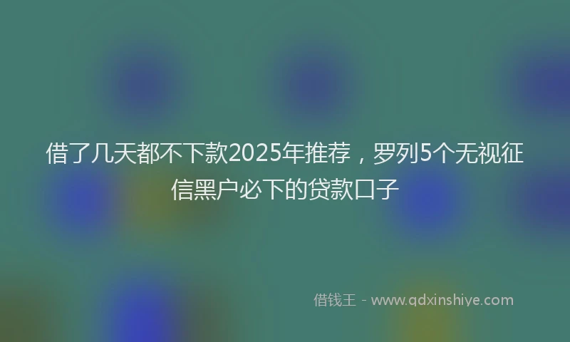 借了几天都不下款2025年推荐，罗列5个无视征信黑户必下的贷款口子