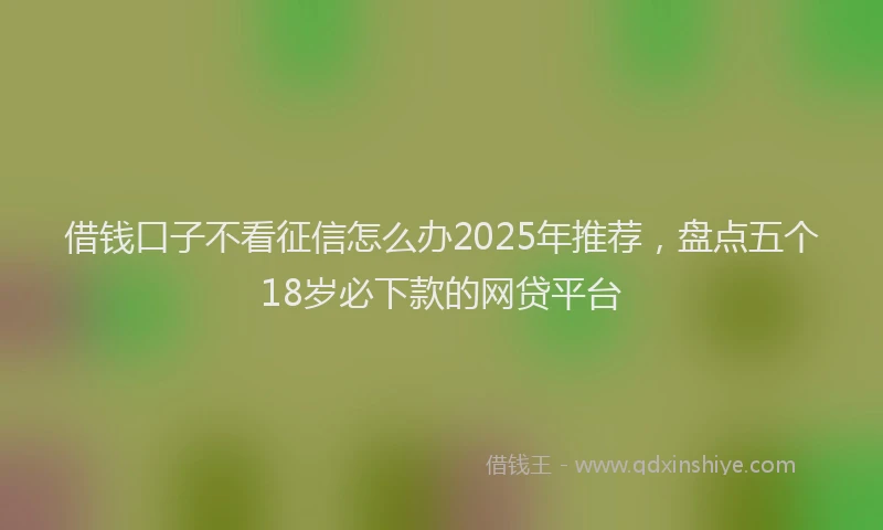 借钱口子不看征信怎么办2025年推荐，盘点五个18岁必下款的网贷平台