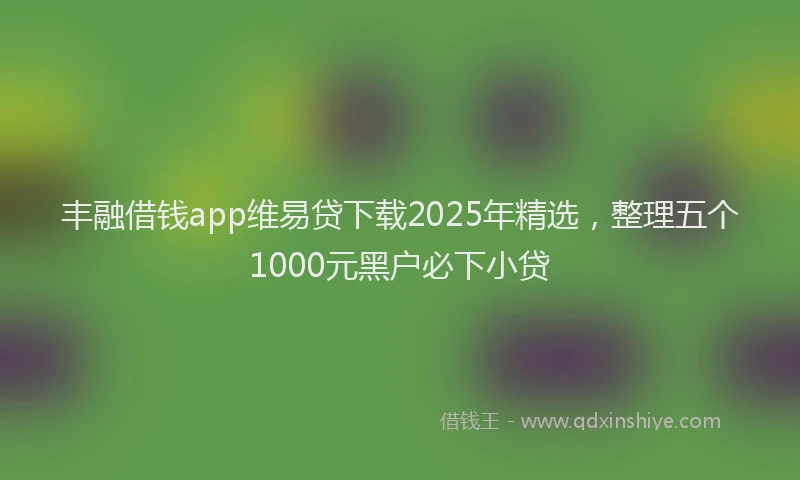 丰融借钱app维易贷下载2025年精选，整理五个1000元黑户必下小贷