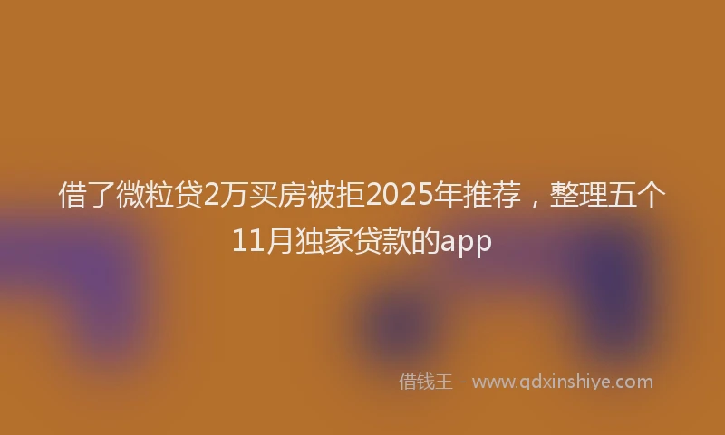 借了微粒贷2万买房被拒2025年推荐，整理五个11月独家贷款的app
