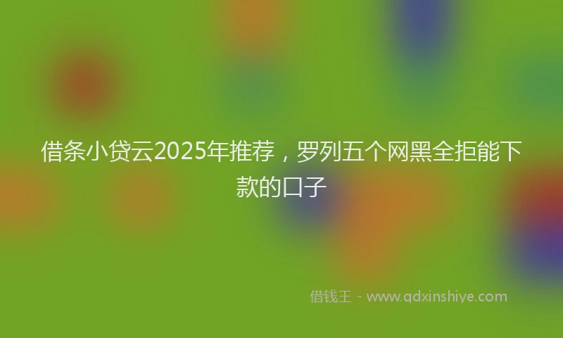 借条小贷云2025年推荐，罗列五个网黑全拒能下款的口子