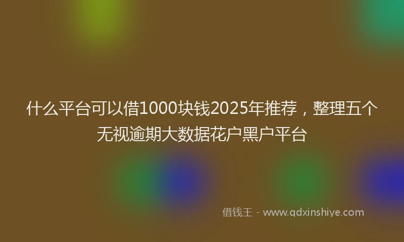 什么平台可以借1000块钱2025年推荐，整理五个无视逾期大数据花户黑户平台