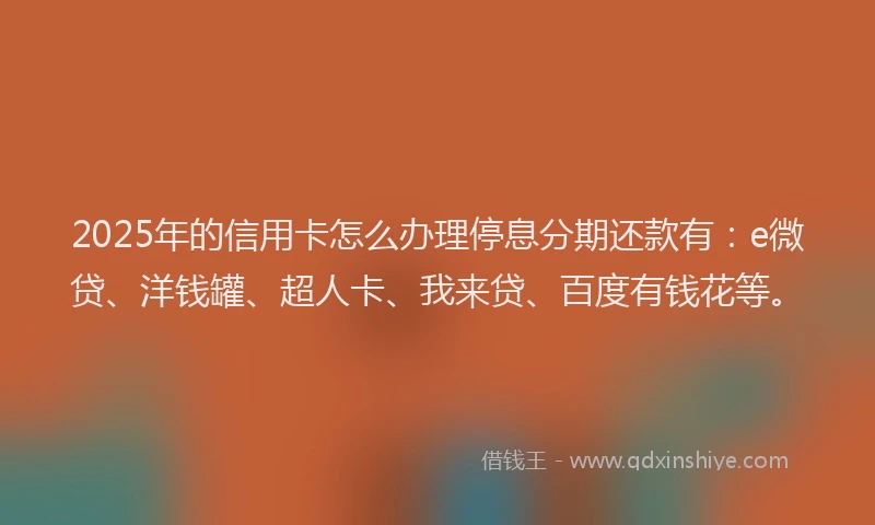 2025年的信用卡怎么办理停息分期还款有：e微贷、洋钱罐、超人卡、我来贷、百度有钱花等。