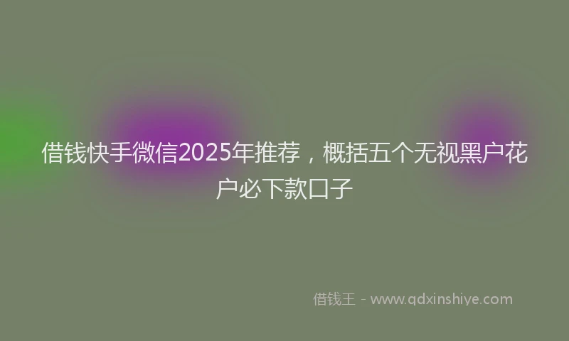 借钱快手微信2025年推荐，概括五个无视黑户花户必下款口子