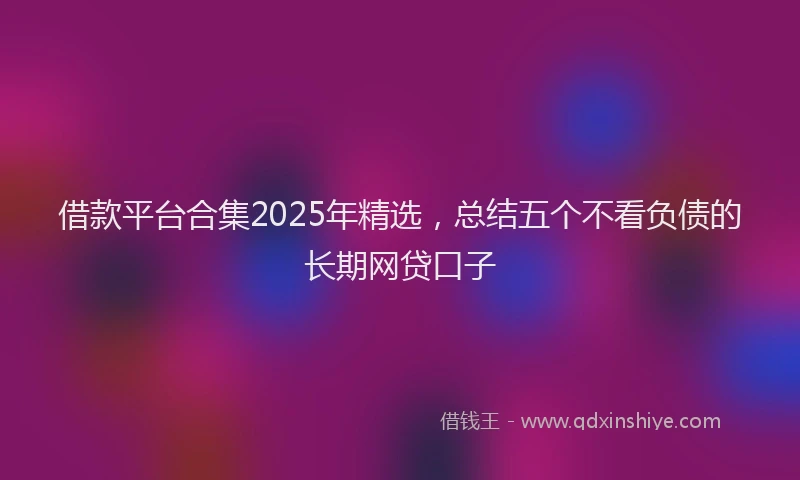 借款平台合集2025年精选，总结五个不看负债的长期网贷口子