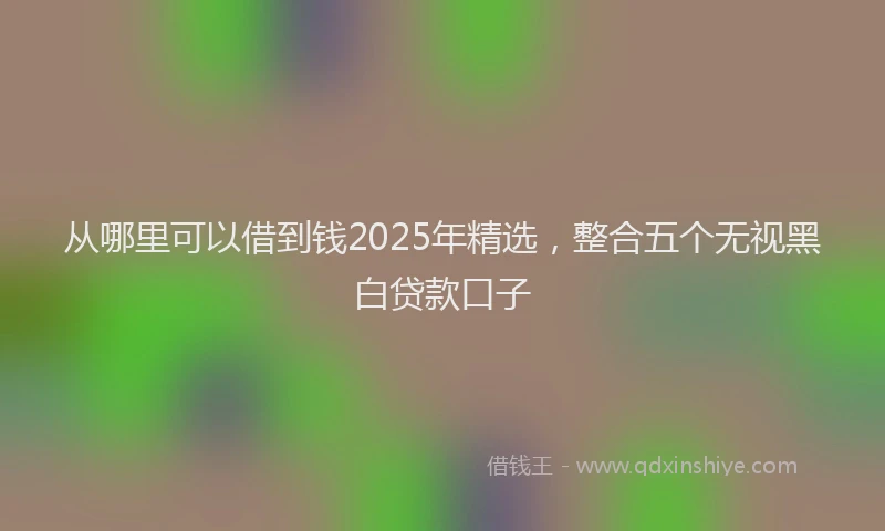 从哪里可以借到钱2025年精选，整合五个无视黑白贷款口子