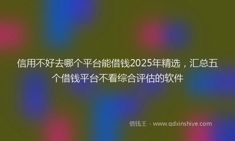 信用不好去哪个平台能借钱2025年精选，汇总五个借钱平台不看综合评估的软件