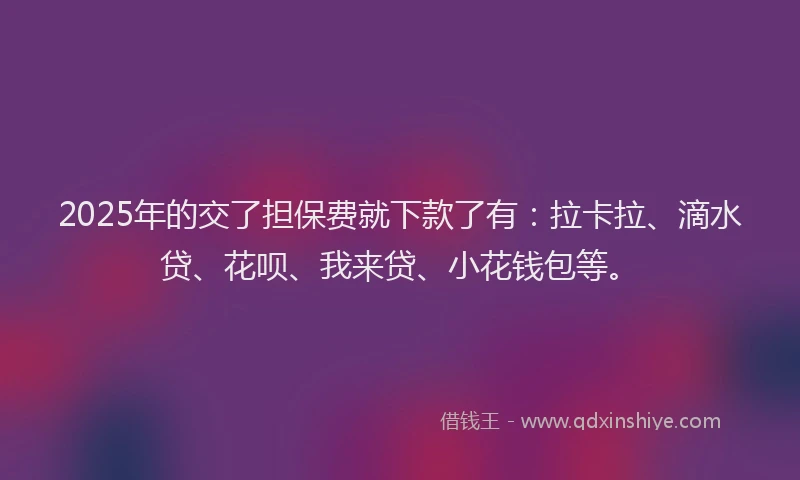 2025年的交了担保费就下款了有：拉卡拉、滴水贷、花呗、我来贷、小花钱包等。