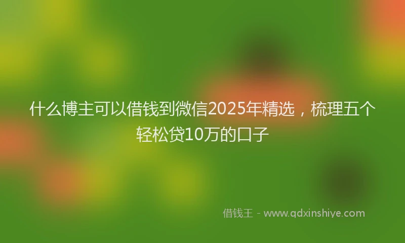 什么博主可以借钱到微信2025年精选，梳理五个轻松贷10万的口子