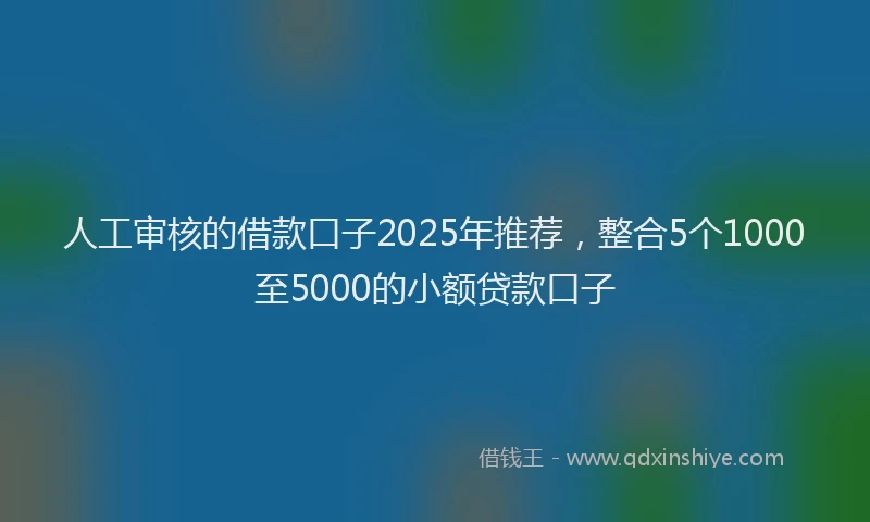 人工审核的借款口子2025年推荐，整合5个1000至5000的小额贷款口子