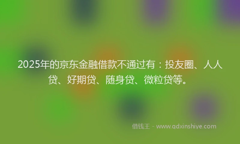 2025年的京东金融借款不通过有：投友圈、人人贷、好期贷、随身贷、微粒贷等。