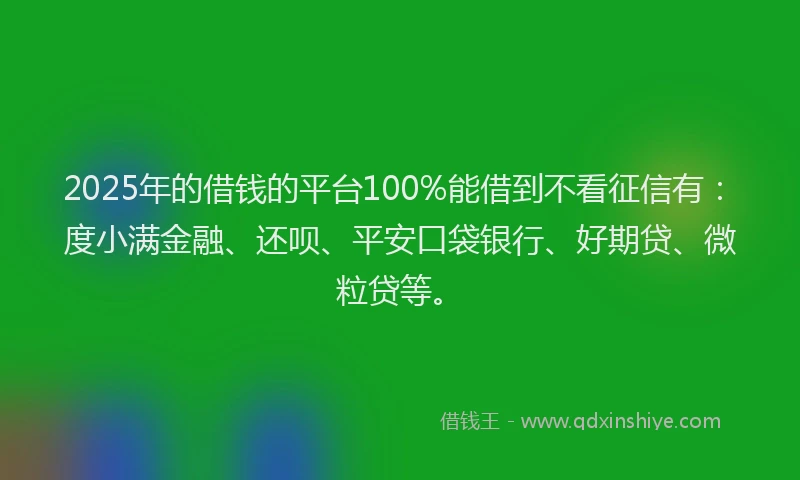 2025年的借钱的平台100%能借到不看征信有：度小满金融、还呗、平安口袋银行、好期贷、微粒贷等。