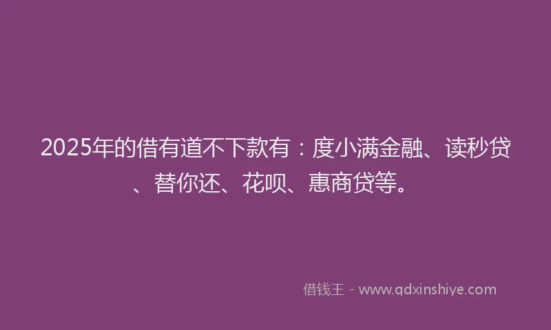 2025年的借有道不下款有：度小满金融、读秒贷、替你还、花呗、惠商贷等。
