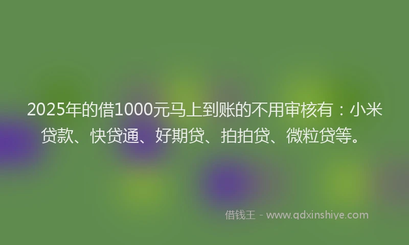 2025年的借1000元马上到账的不用审核有：小米贷款、快贷通、好期贷、拍拍贷、微粒贷等。