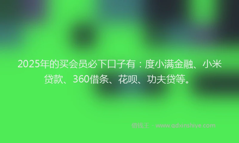 2025年的买会员必下口子有：度小满金融、小米贷款、360借条、花呗、功夫贷等。