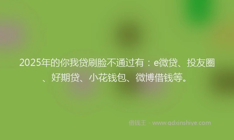 2025年的你我贷刷脸不通过有：e微贷、投友圈、好期贷、小花钱包、微博借钱等。