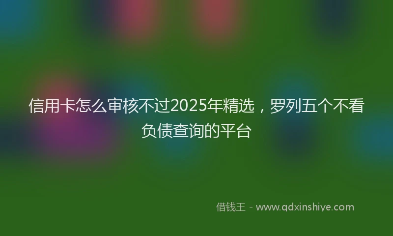 信用卡怎么审核不过2025年精选，罗列五个不看负债查询的平台