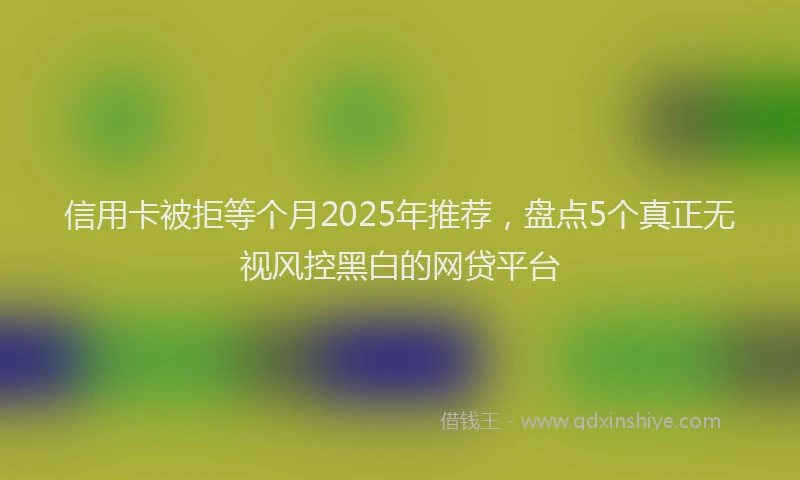 信用卡被拒等个月2025年推荐，盘点5个真正无视风控黑白的网贷平台