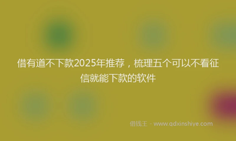 借有道不下款2025年推荐，梳理五个可以不看征信就能下款的软件