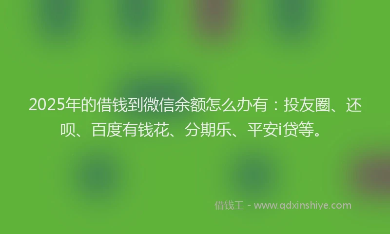 2025年的借钱到微信余额怎么办有：投友圈、还呗、百度有钱花、分期乐、平安i贷等。