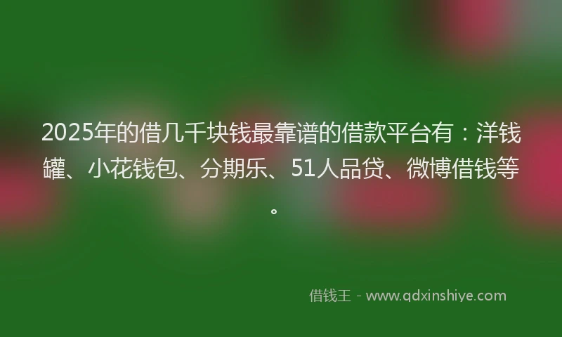 2025年的借几千块钱最靠谱的借款平台有：洋钱罐、小花钱包、分期乐、51人品贷、微博借钱等。