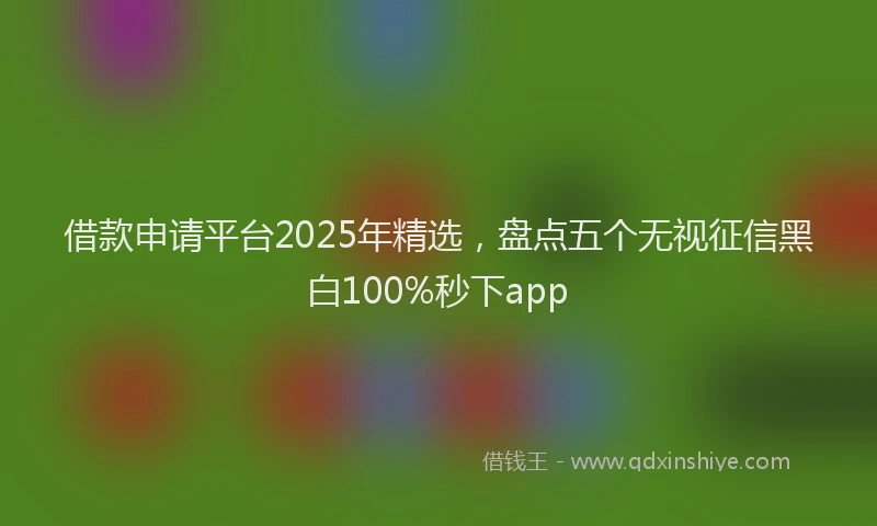 借款申请平台2025年精选，盘点五个无视征信黑白100%秒下app