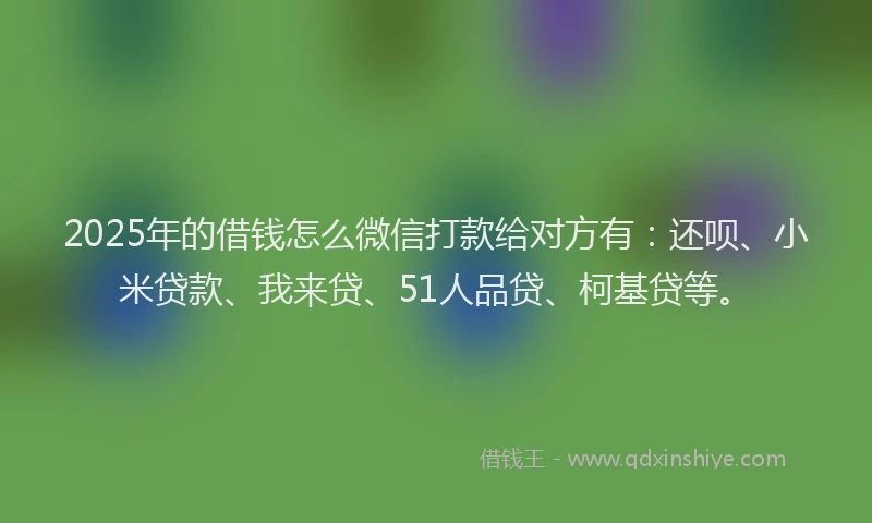 2025年的借钱怎么微信打款给对方有：还呗、小米贷款、我来贷、51人品贷、柯基贷等。