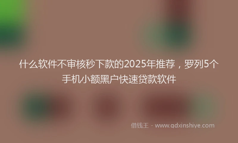 什么软件不审核秒下款的2025年推荐，罗列5个手机小额黑户快速贷款软件