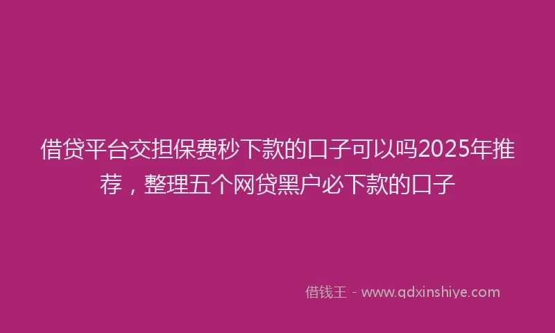 借贷平台交担保费秒下款的口子可以吗2025年推荐，整理五个网贷黑户必下款的口子
