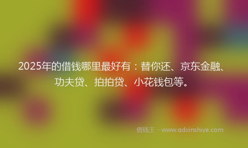 2025年的借钱哪里最好有：替你还、京东金融、功夫贷、拍拍贷、小花钱包等。