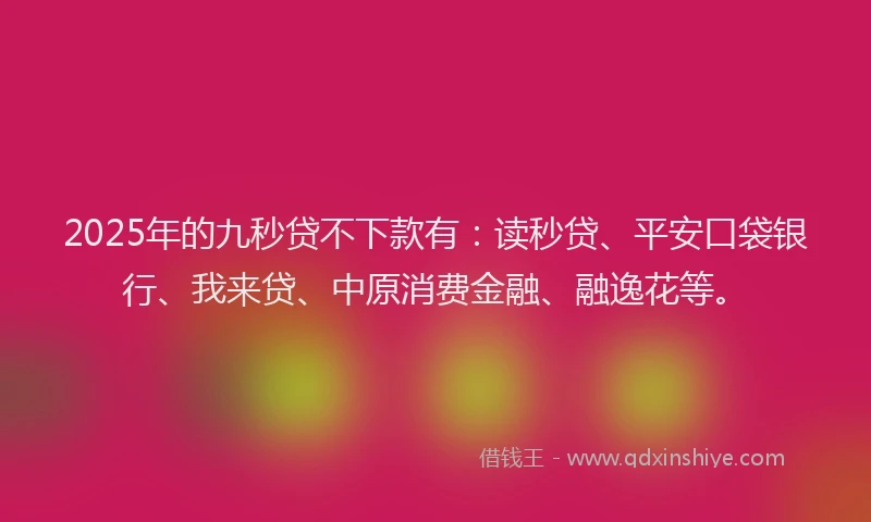 2025年的九秒贷不下款有：读秒贷、平安口袋银行、我来贷、中原消费金融、融逸花等。