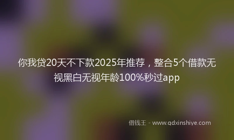 你我贷20天不下款2025年推荐，整合5个借款无视黑白无视年龄100%秒过app