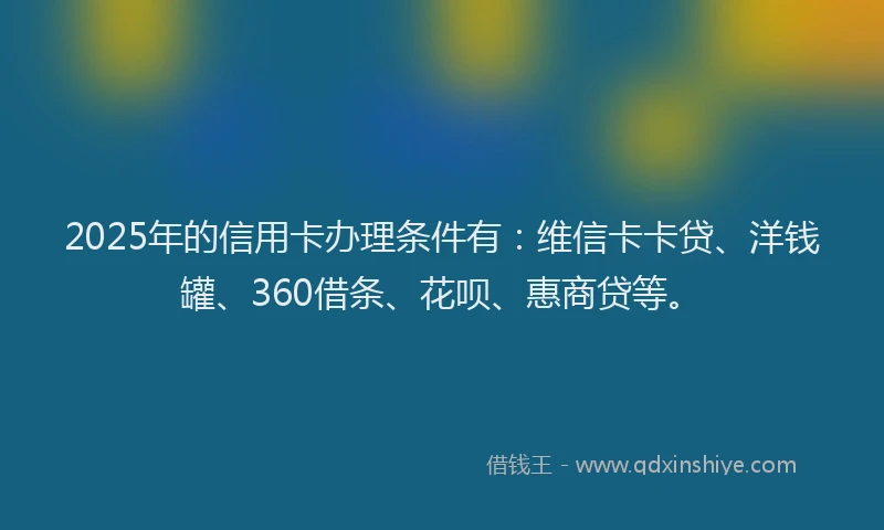 2025年的信用卡办理条件有：维信卡卡贷、洋钱罐、360借条、花呗、惠商贷等。