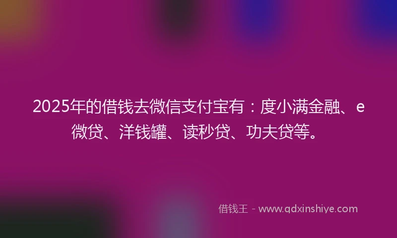 2025年的借钱去微信支付宝有：度小满金融、e微贷、洋钱罐、读秒贷、功夫贷等。