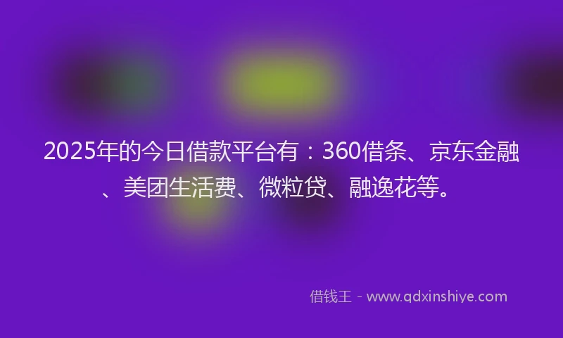 2025年的今日借款平台有：360借条、京东金融、美团生活费、微粒贷、融逸花等。