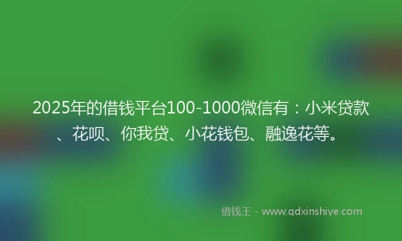 2025年的借钱平台100-1000微信有：小米贷款、花呗、你我贷、小花钱包、融逸花等。