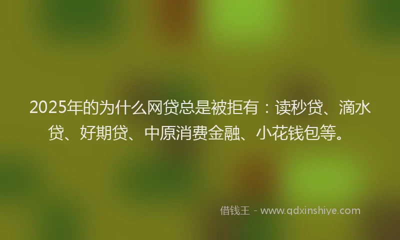 2025年的为什么网贷总是被拒有：读秒贷、滴水贷、好期贷、中原消费金融、小花钱包等。