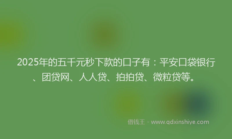2025年的五千元秒下款的口子有：平安口袋银行、团贷网、人人贷、拍拍贷、微粒贷等。