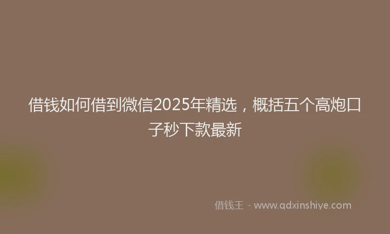 借钱如何借到微信2025年精选，概括五个高炮口子秒下款最新