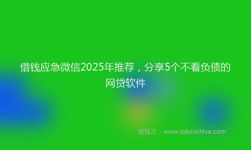 借钱应急微信2025年推荐，分享5个不看负债的网贷软件