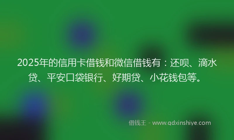 2025年的信用卡借钱和微信借钱有：还呗、滴水贷、平安口袋银行、好期贷、小花钱包等。