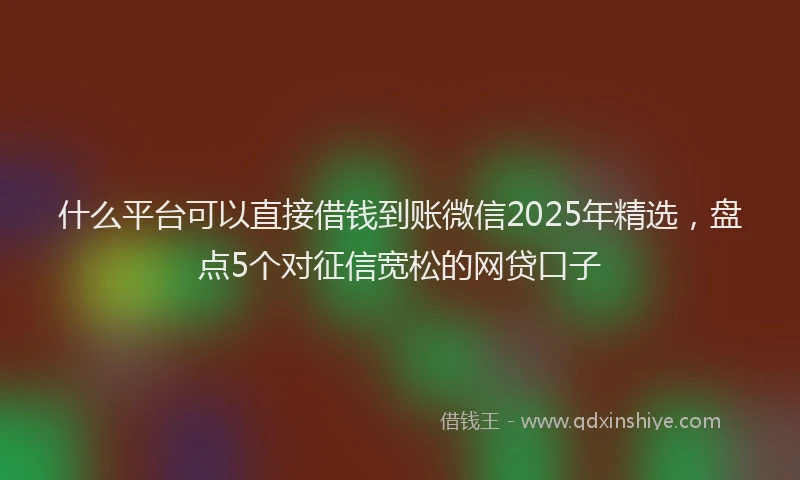 什么平台可以直接借钱到账微信2025年精选，盘点5个对征信宽松的网贷口子