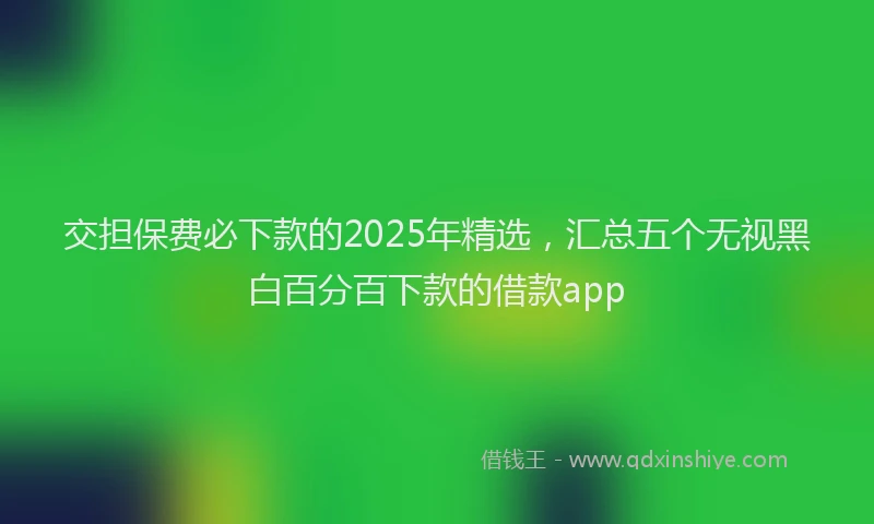 交担保费必下款的2025年精选，汇总五个无视黑白百分百下款的借款app