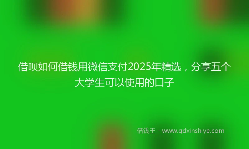 借呗如何借钱用微信支付2025年精选，分享五个大学生可以使用的口子
