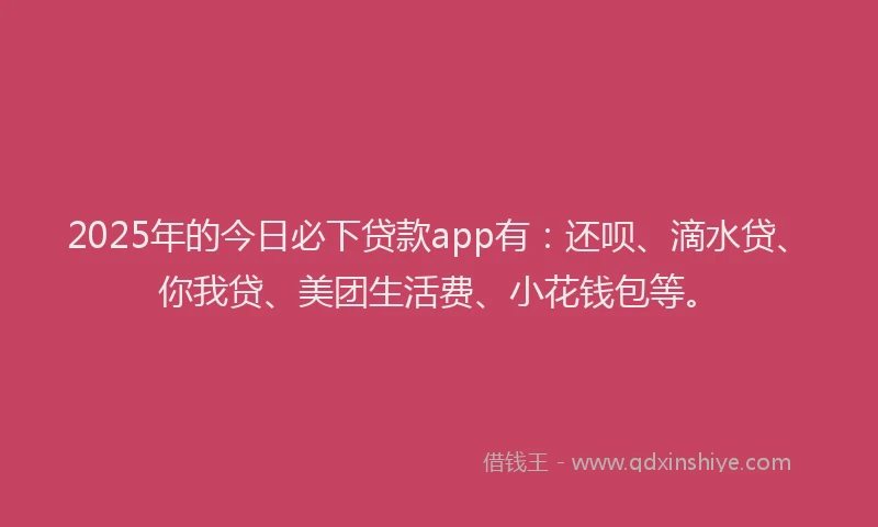 2025年的今日必下贷款app有：还呗、滴水贷、你我贷、美团生活费、小花钱包等。
